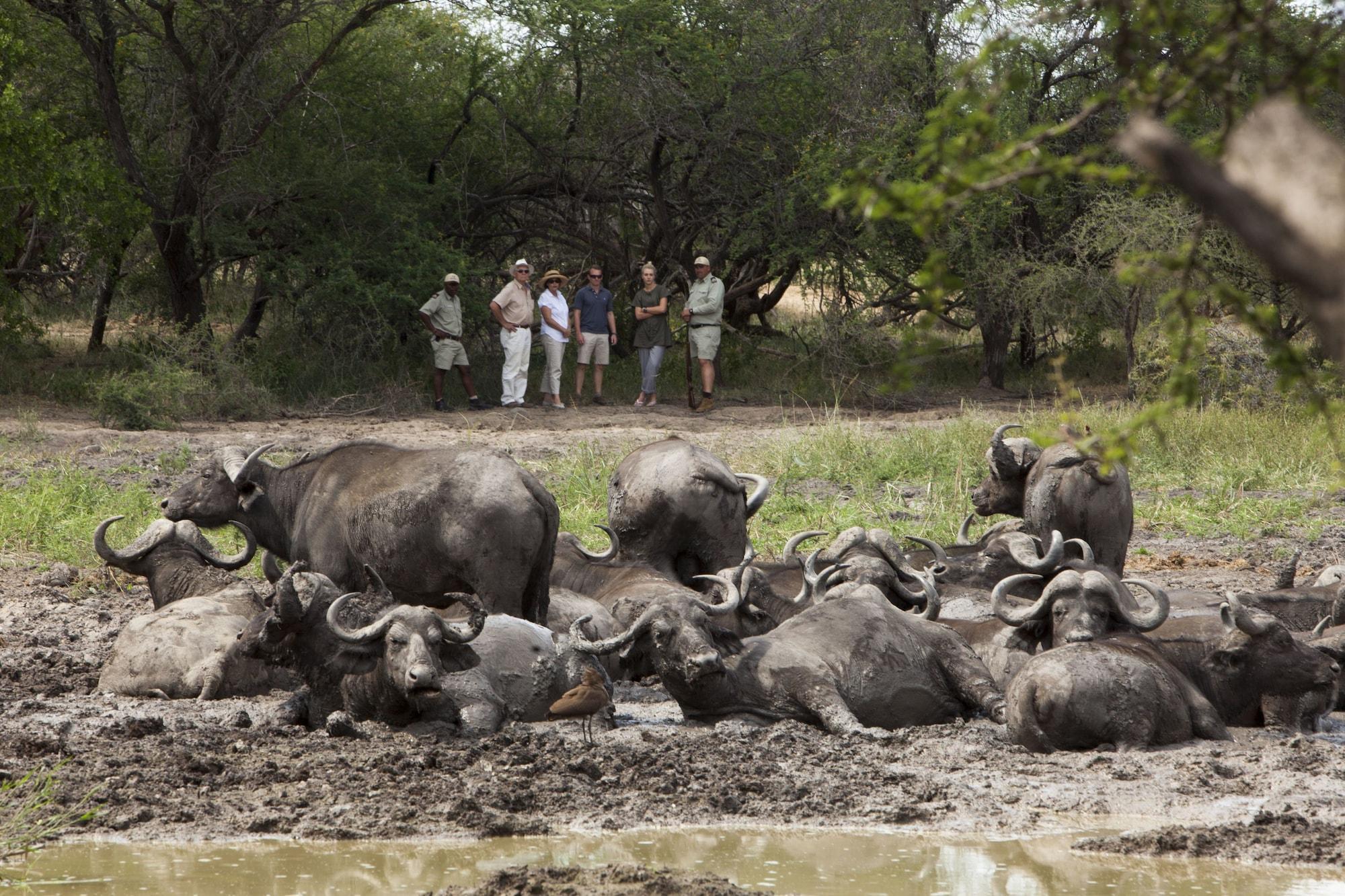 Kapama Southern Camp Hoedspruit Eksteriør bilde