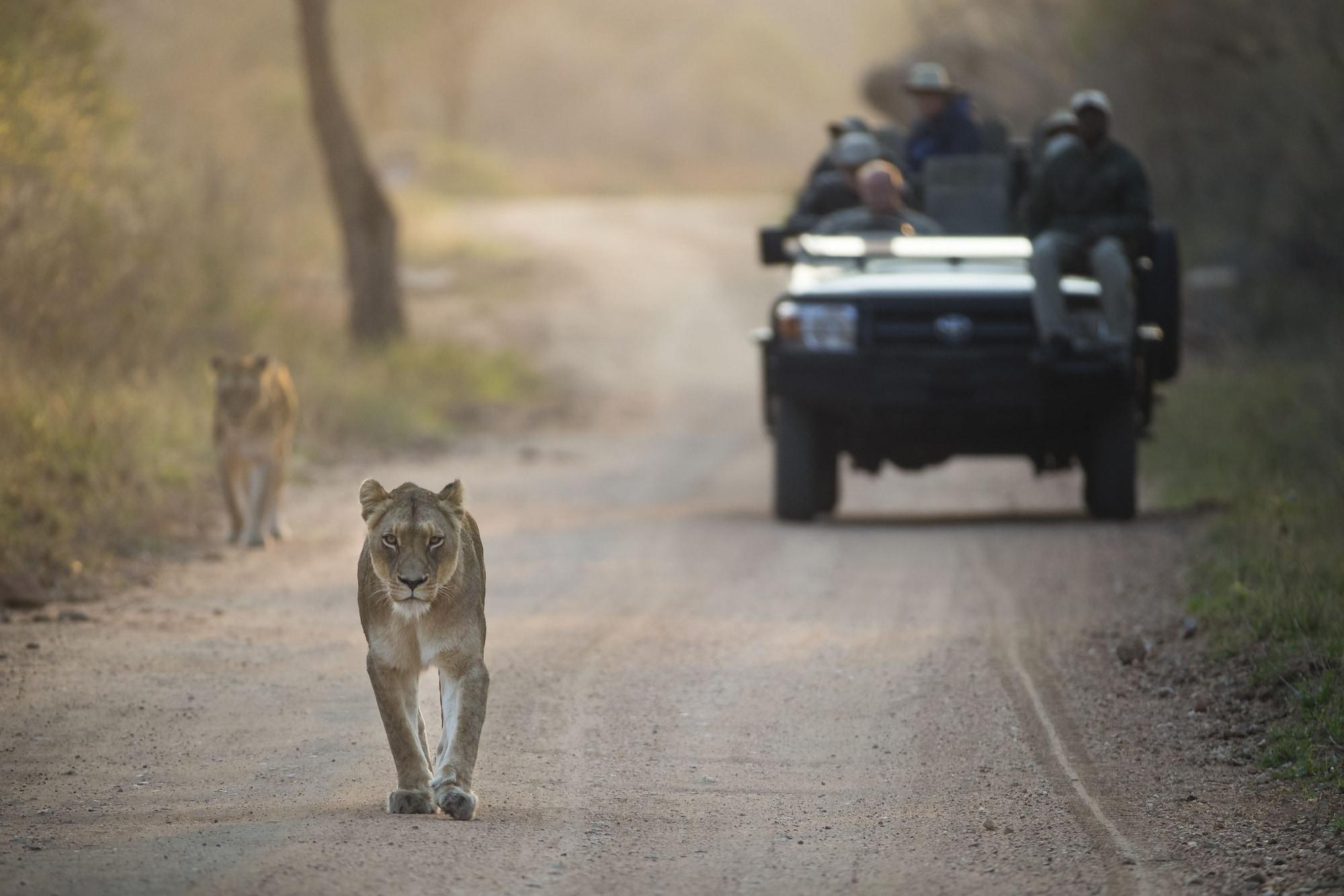 Kapama Southern Camp Hoedspruit Eksteriør bilde