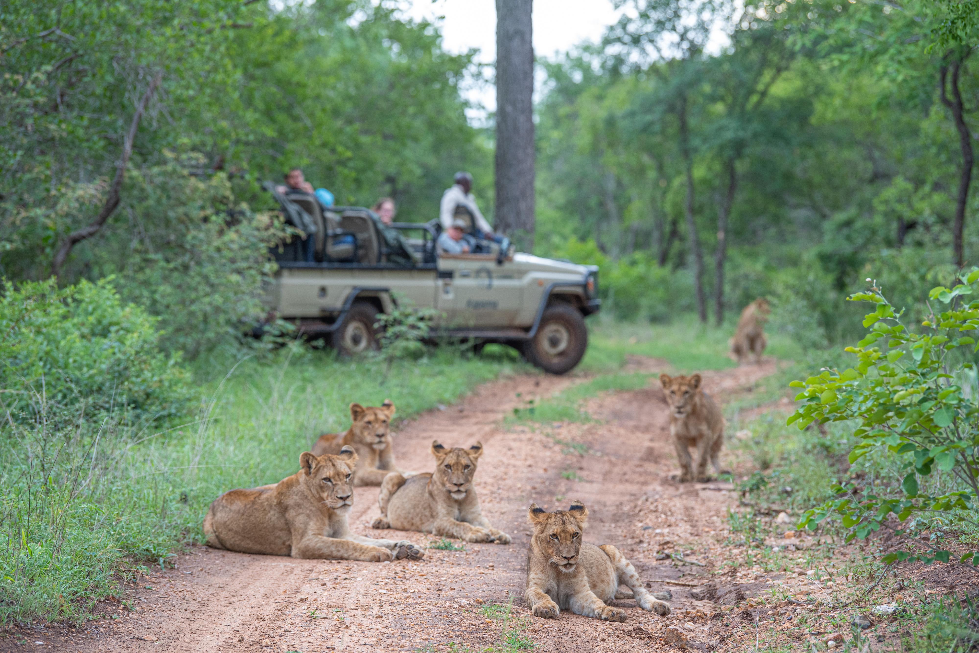Kapama Southern Camp Hoedspruit Eksteriør bilde